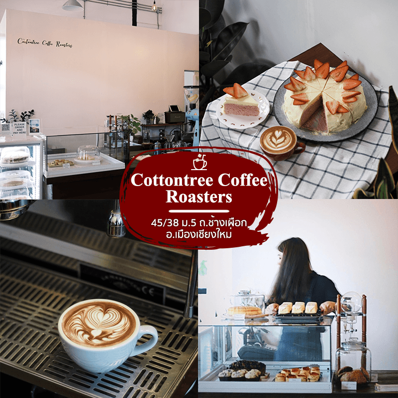 ร้าน Cottontree Coffee Roasters ค่าเฟ่ ในเชียงใหม่