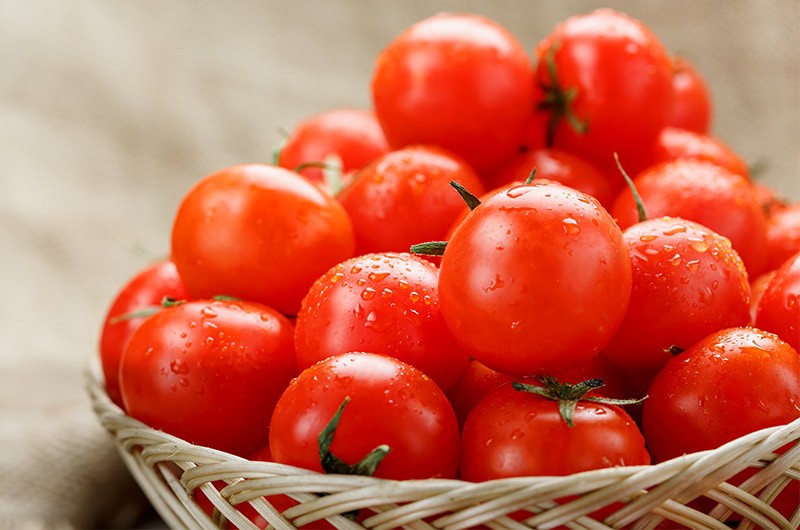 มะเขือเทศซันเชอรี่ (Sun Cherry Tomato)