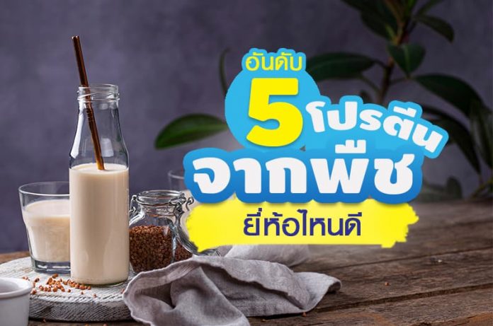 5-โปรตีนจากพืช-ยี่ห้อไหนดี