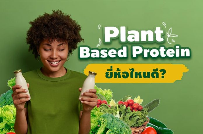 Plant based protein ยี่ห้อไหนดี