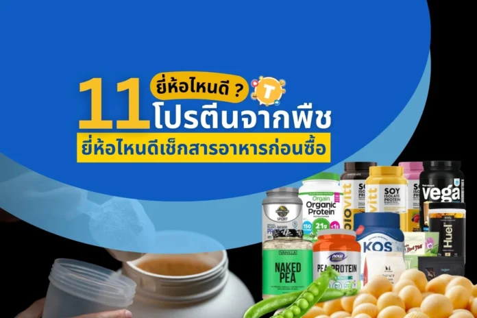 โปรตีนจากพืช ยี่ห้อไหนดี 2025? 11 แบรนด์ฮิต เช็กสารอาหารก่อนซื้อ