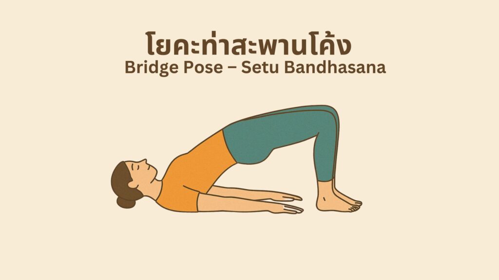 ท่าสะพานโค้ง (Bridge Pose - Setu Bandhasana)