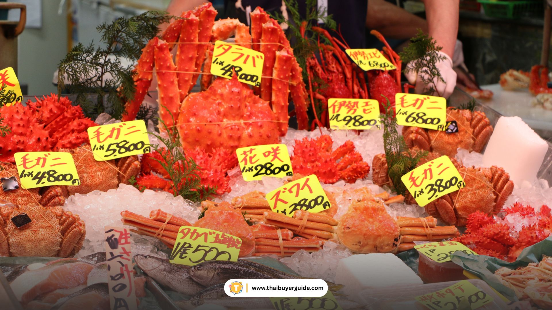 ตลาดปลาซัปโปโร (Nijo Market)