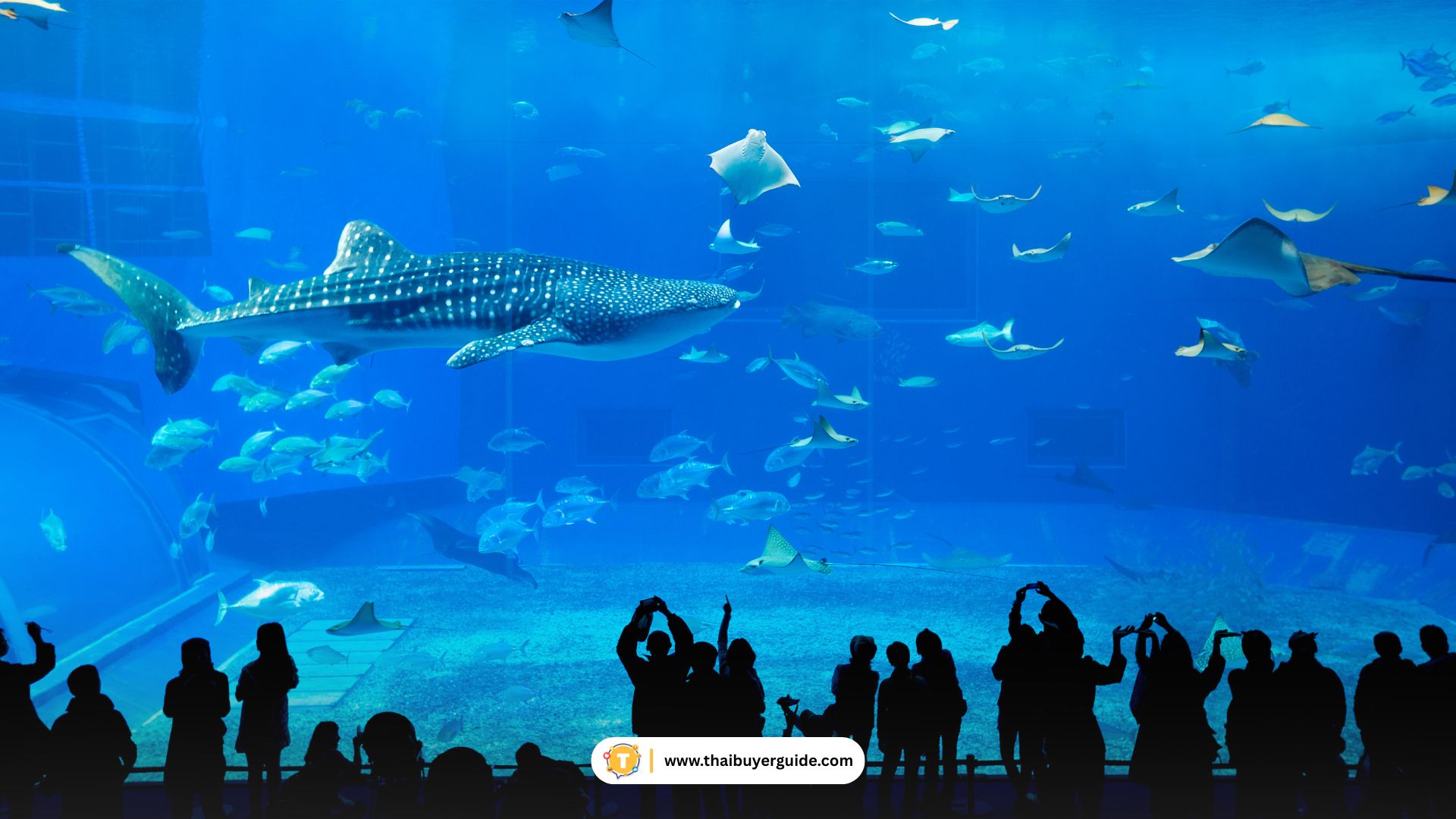 Shinagawa Aquarium
