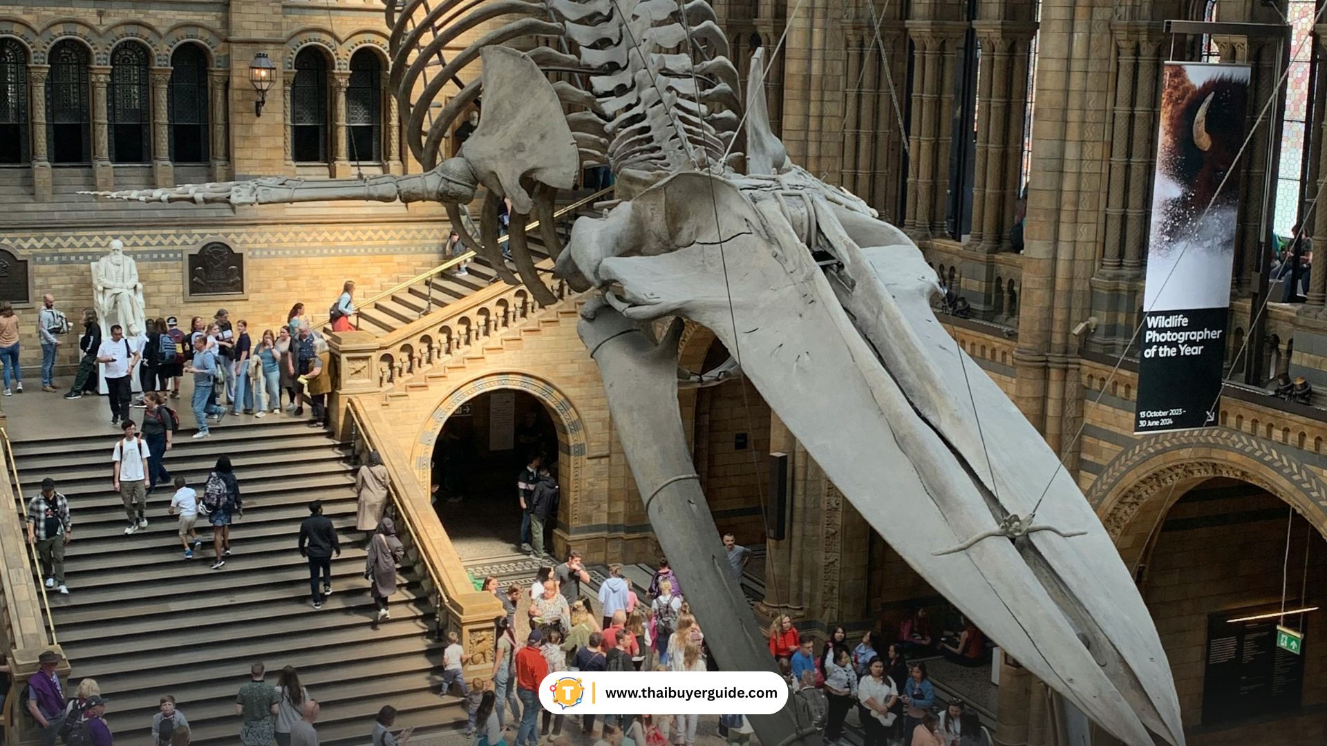 National Museum of Nature and Science