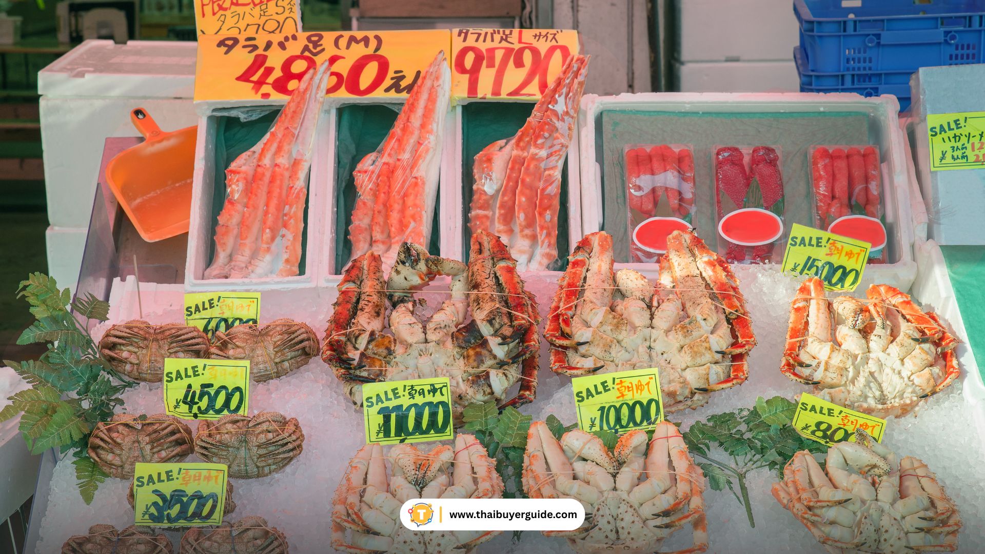 Hakodate Morning Market