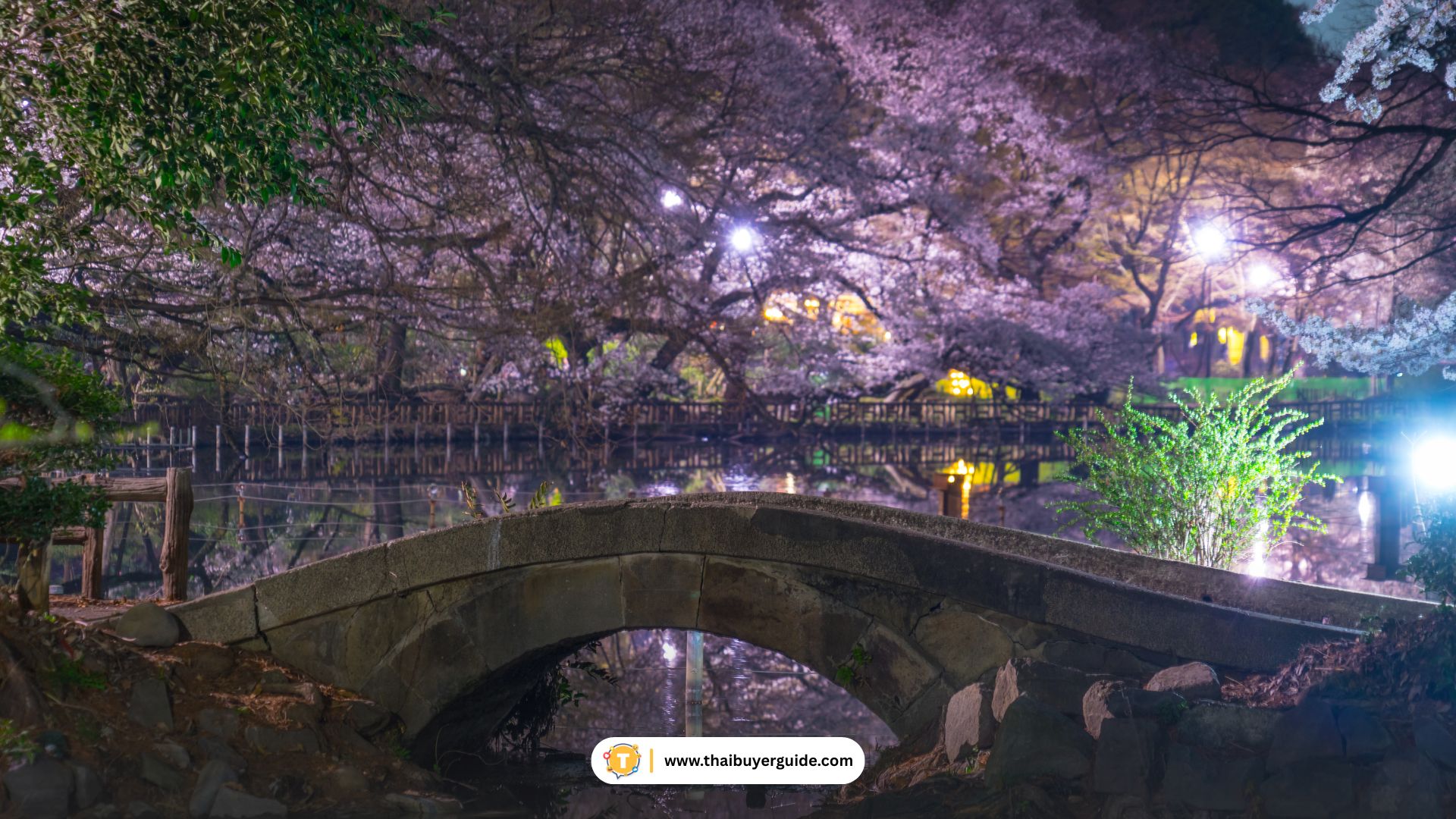 Inokashira Park