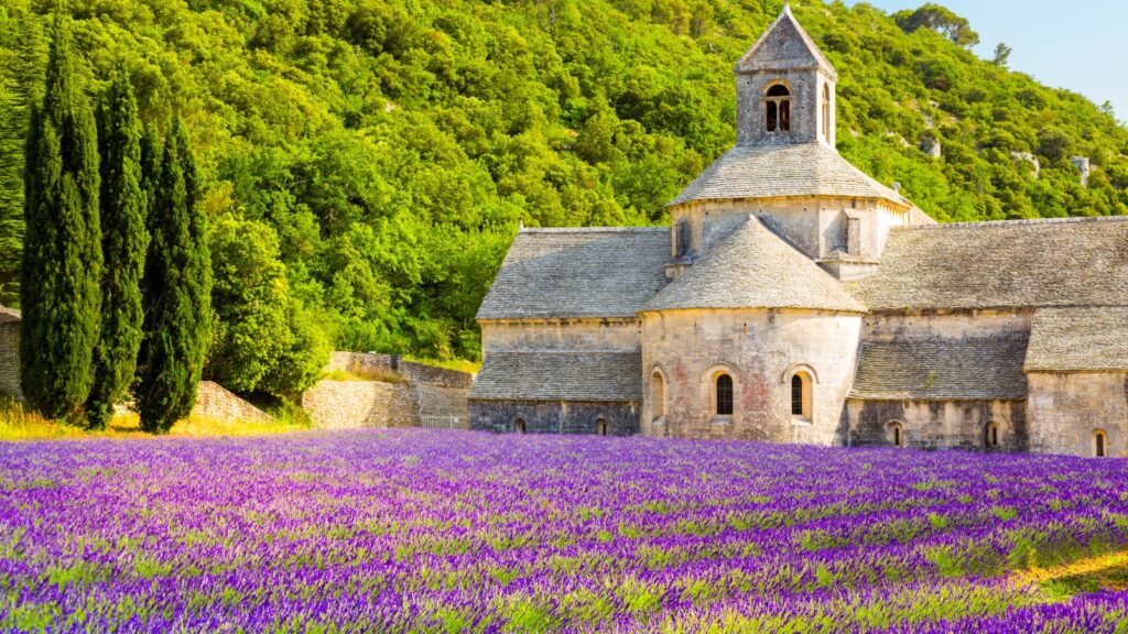 แคว้นโพรวองซ์ (Provence)