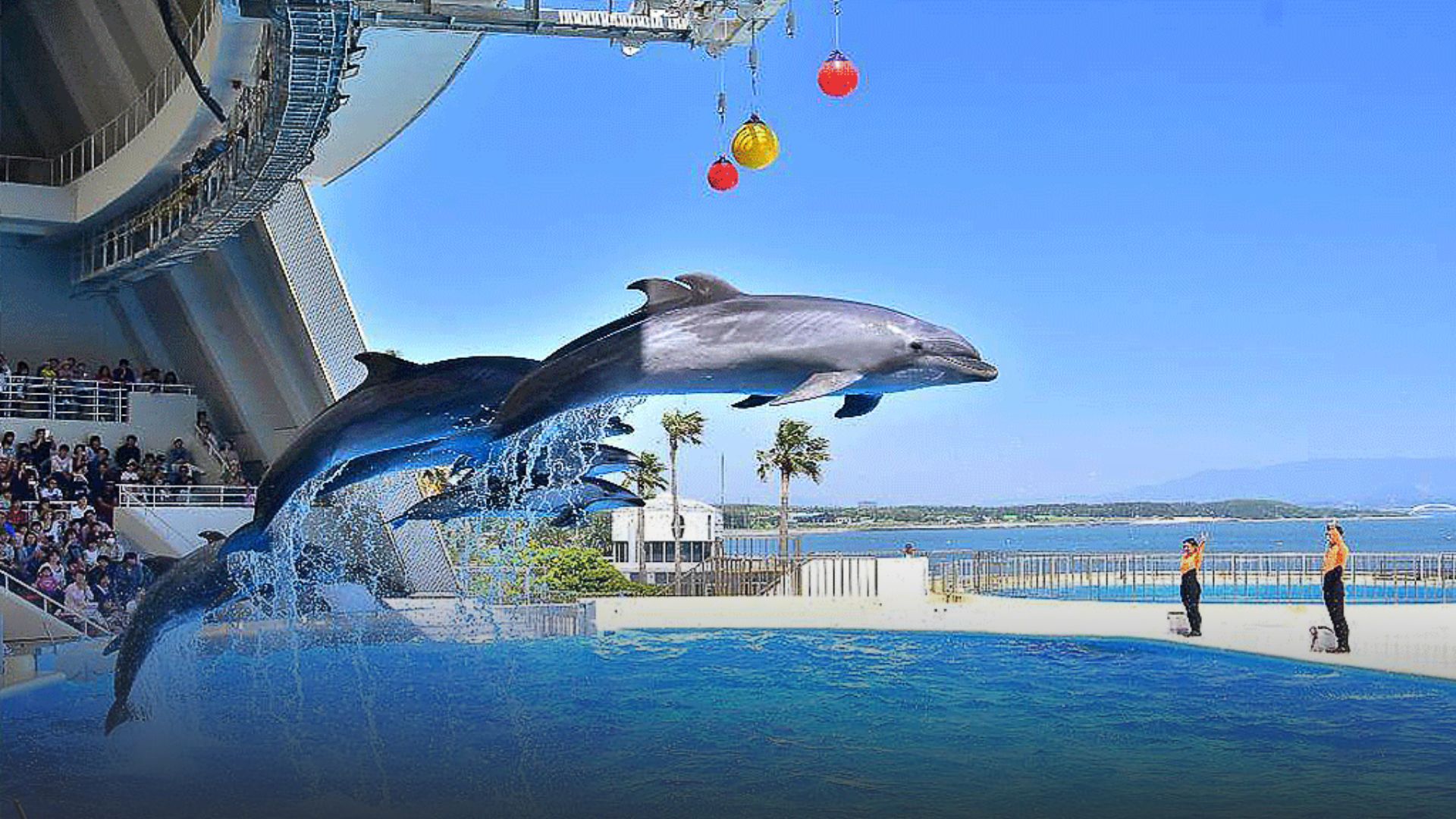 Marine World Uminonakamichi