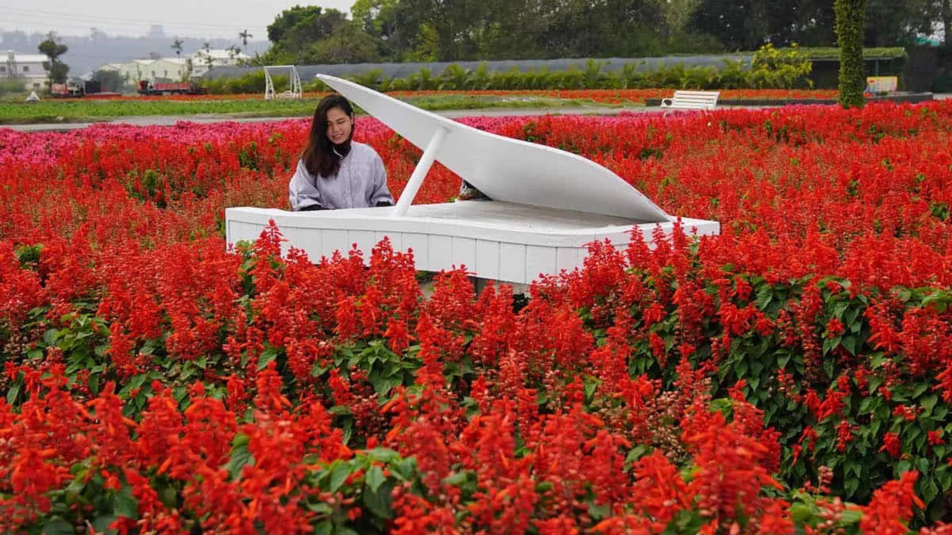 สวนดอกไม้จงเซ่อ (Zhongshe Flower Market)