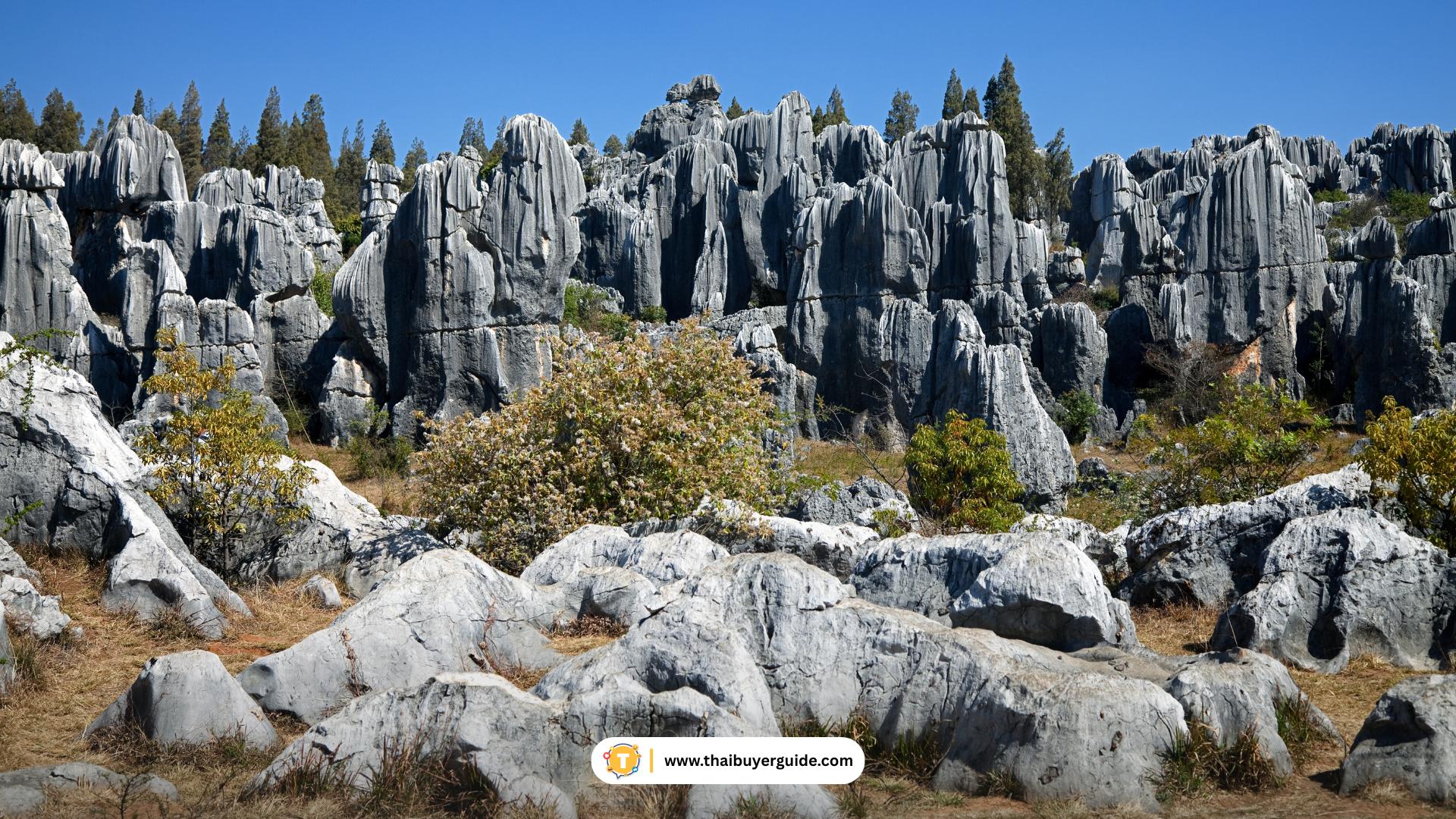 ป่าหิน (Stone Forest)