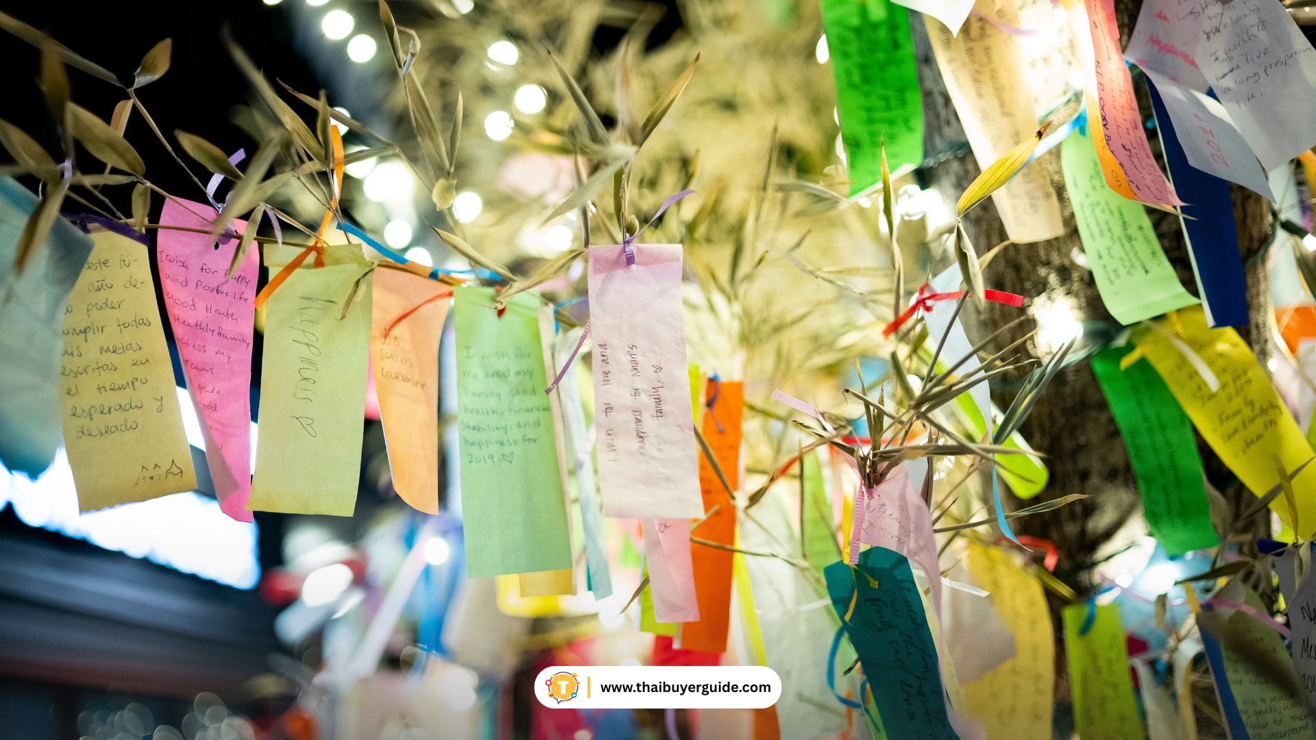 เขียนคำอธิษฐานลงบนกระดาษสีสันสดใส (Tanzaku)