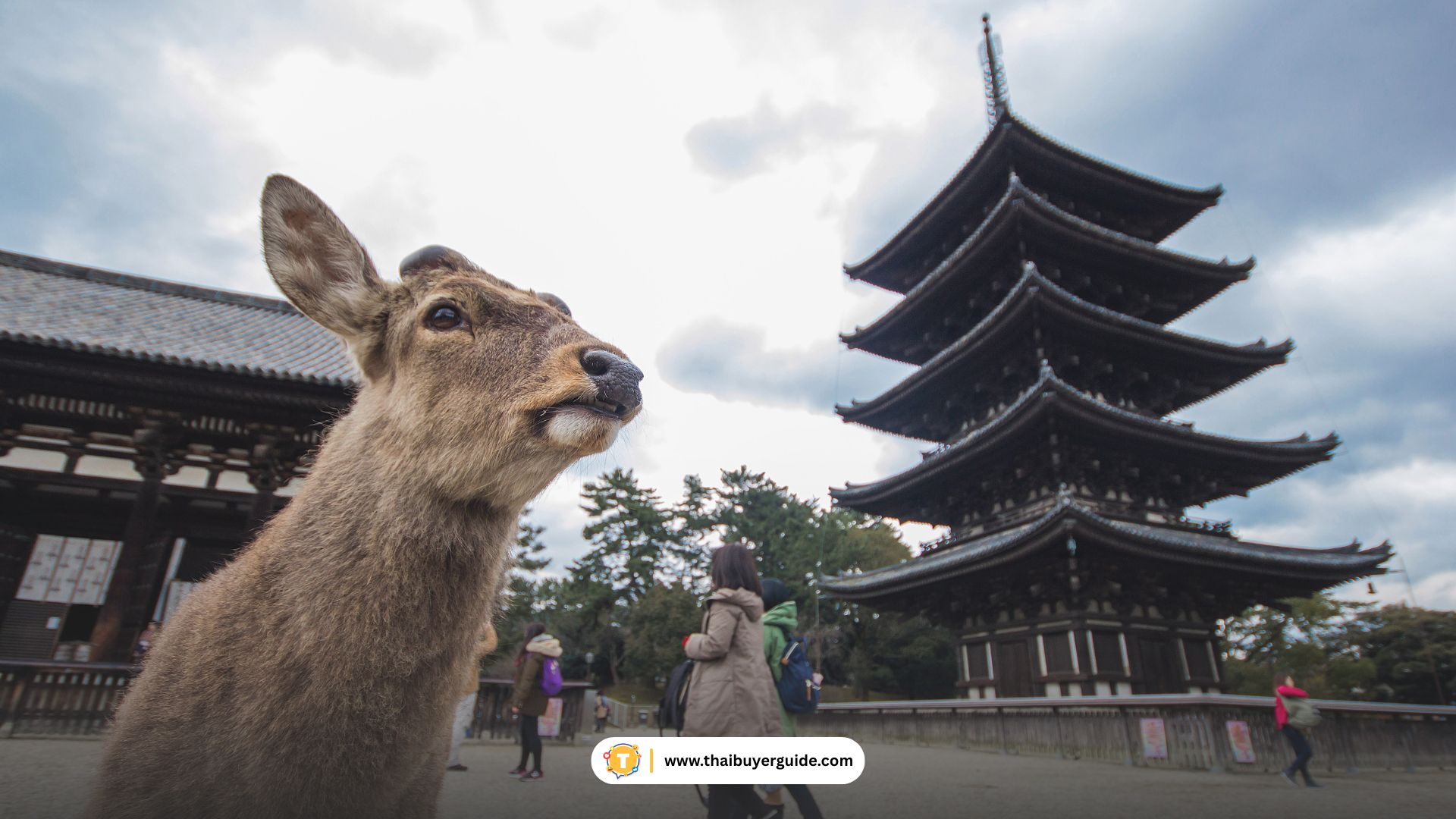 nara