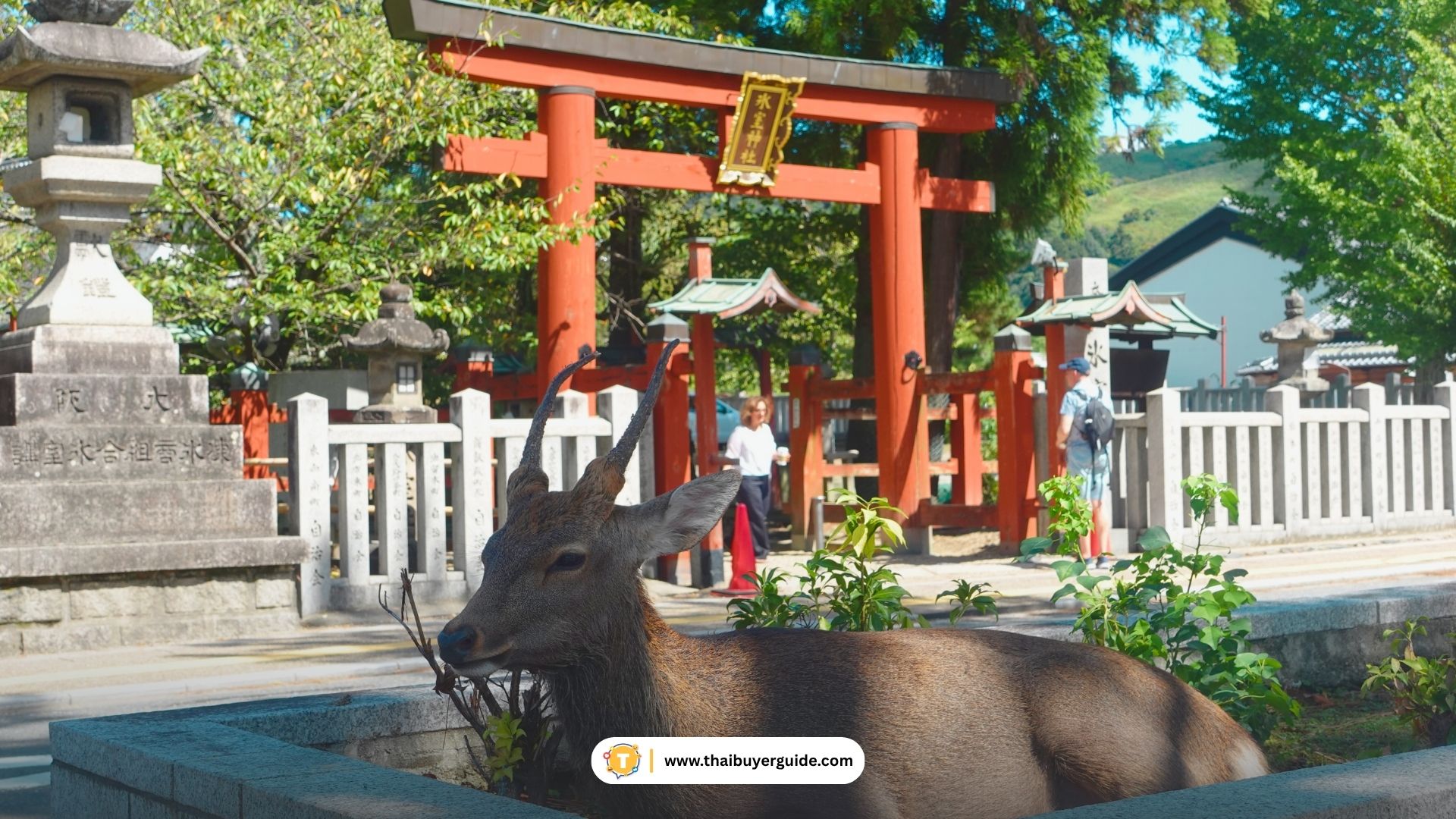 nara