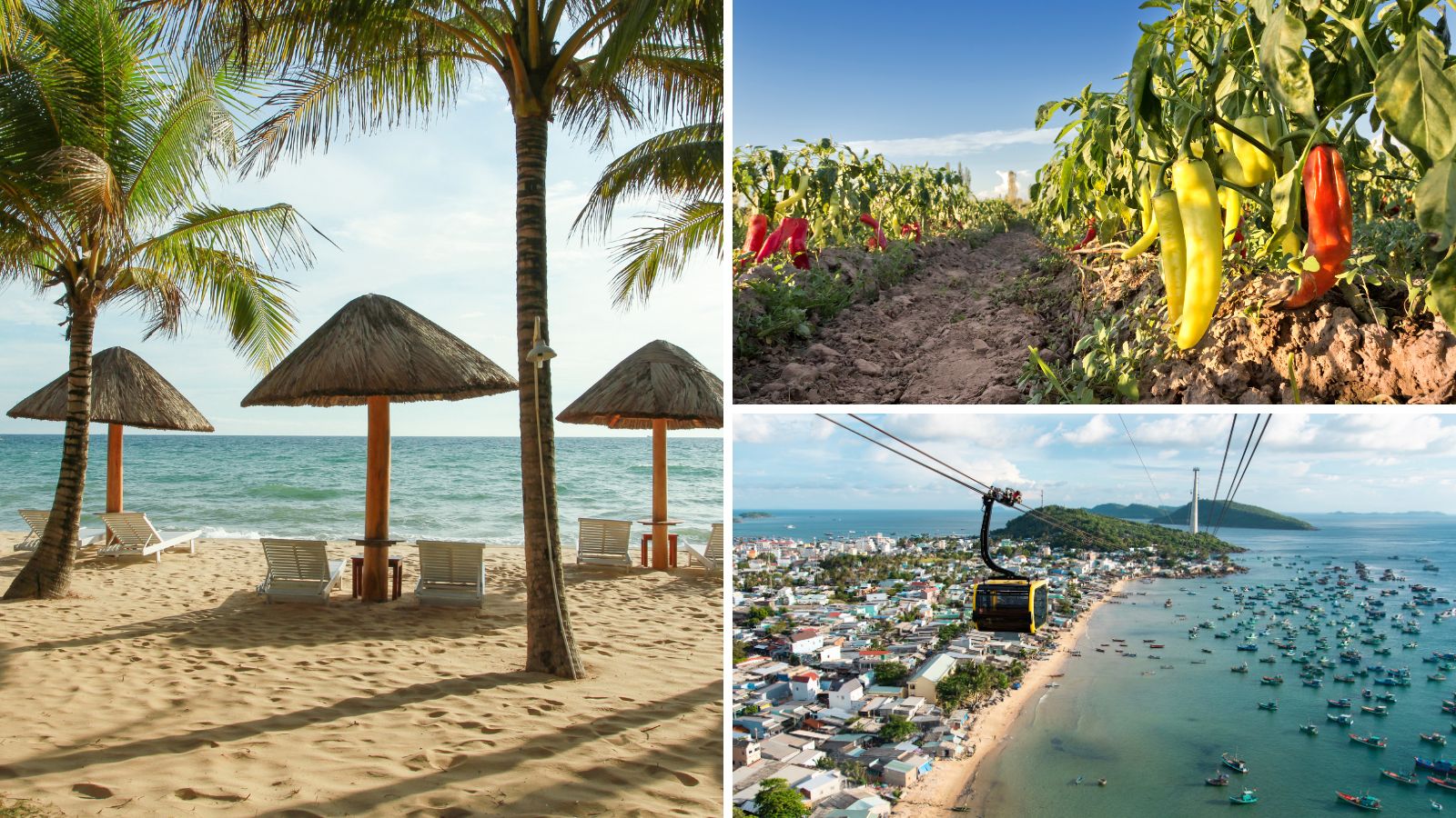 เกาะฟู้ก๊วก (Phu Quoc Island)