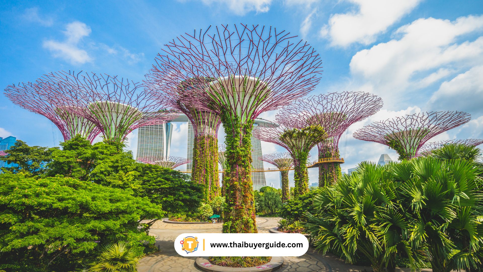 สิงคโปร์ – เมืองทันสมัยผสานธรรมชาติ