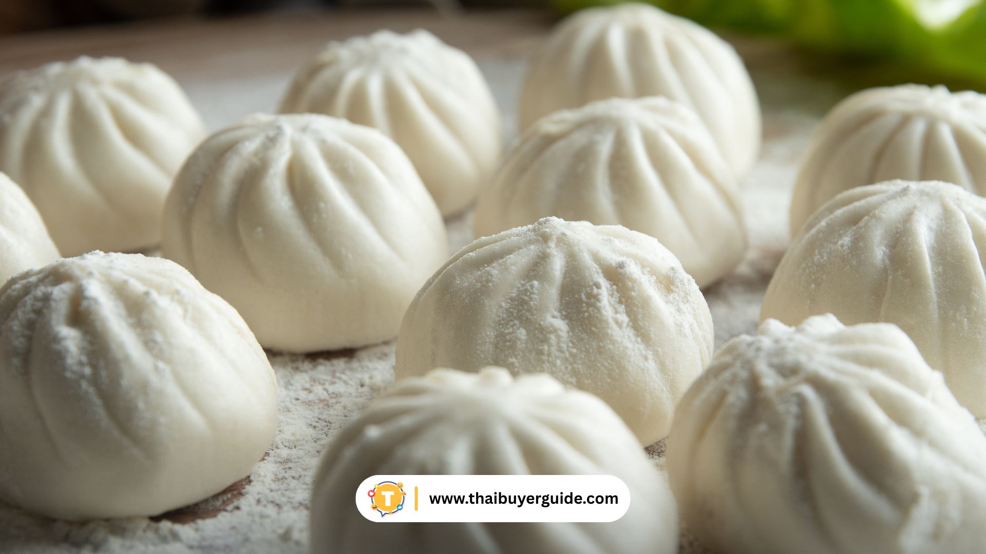 Goubuli Baozi (狗不理包子) 