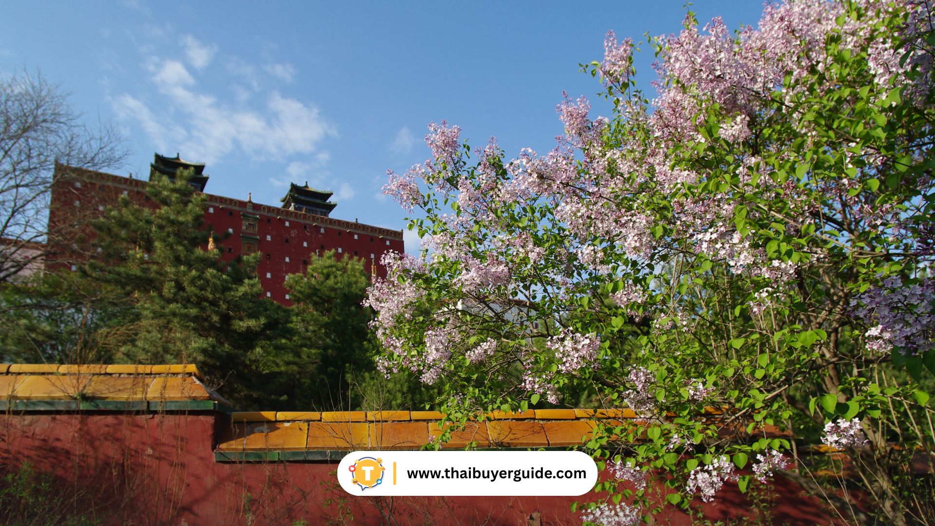 ฤดูใบไม้ผลิ (มีนาคม - พฤษภาคม)