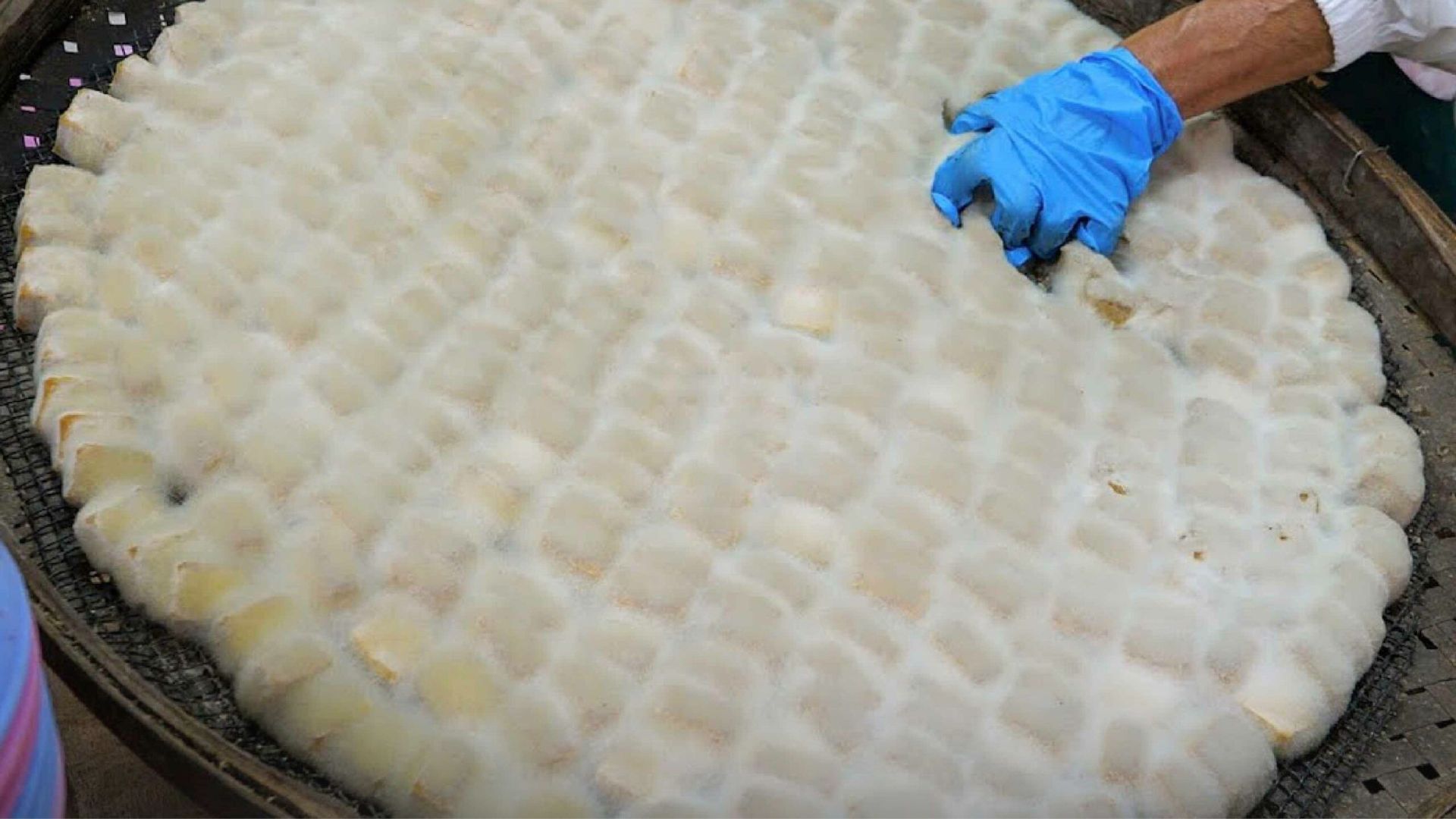 เต้าหู้เหม่า (毛豆腐 / Hairy Tofu)