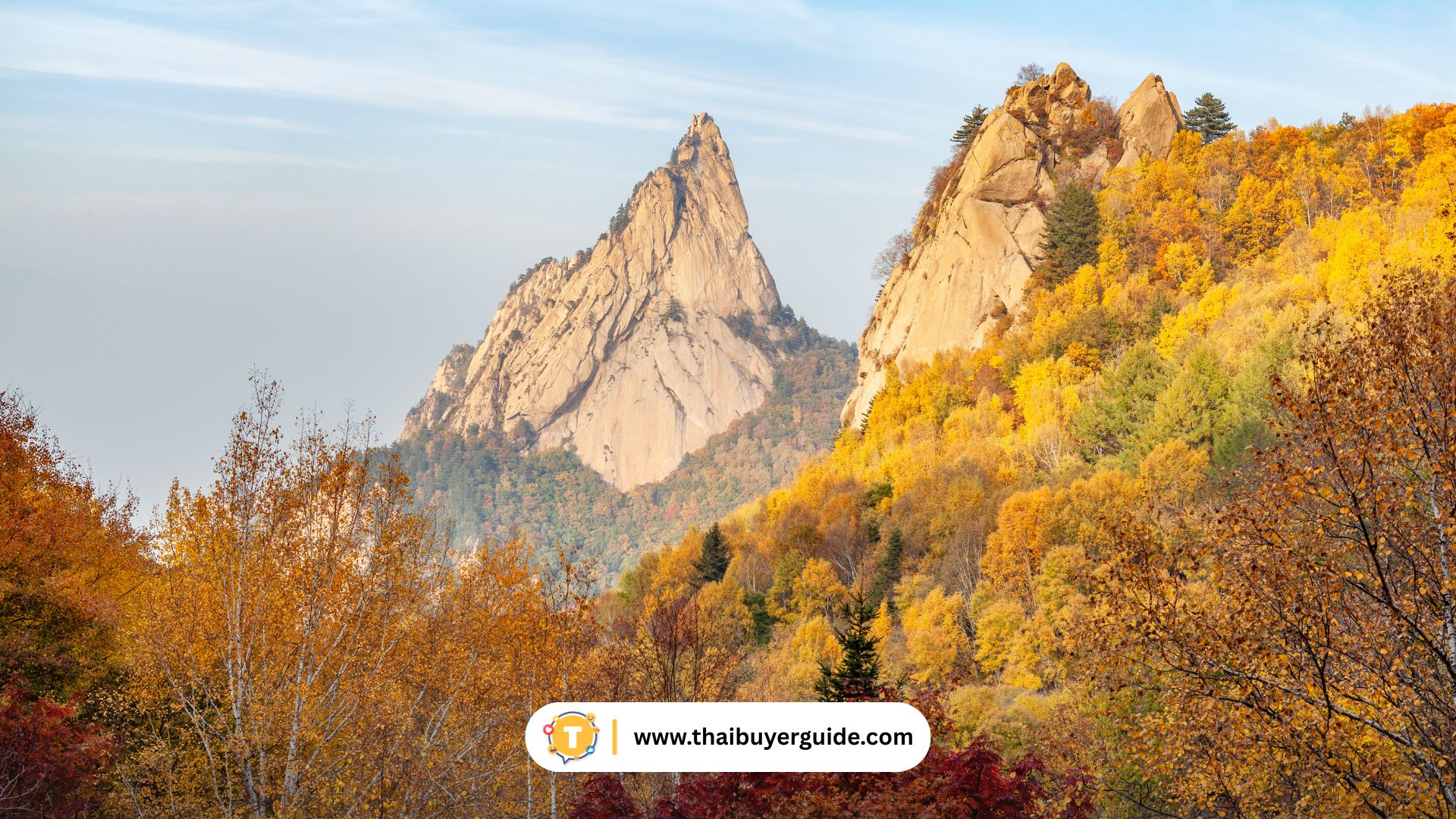 ฤดูใบไม้ร่วง (กันยายน - พฤศจิกายน)