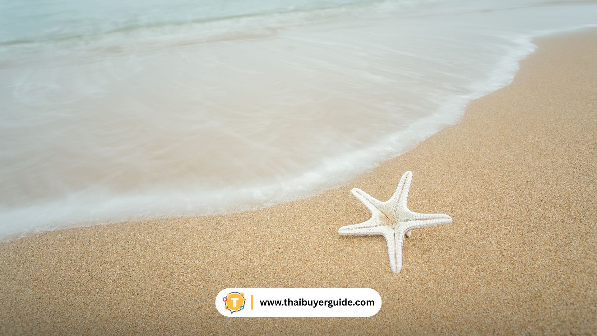 ชายหาดเป่ยไต้เหอ (Beidaihe 北戴河)