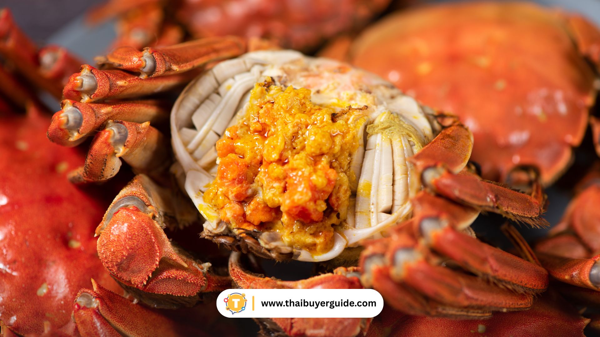 ปูขน (Hairy Crab 大闸蟹) – ตามฤดูกาล