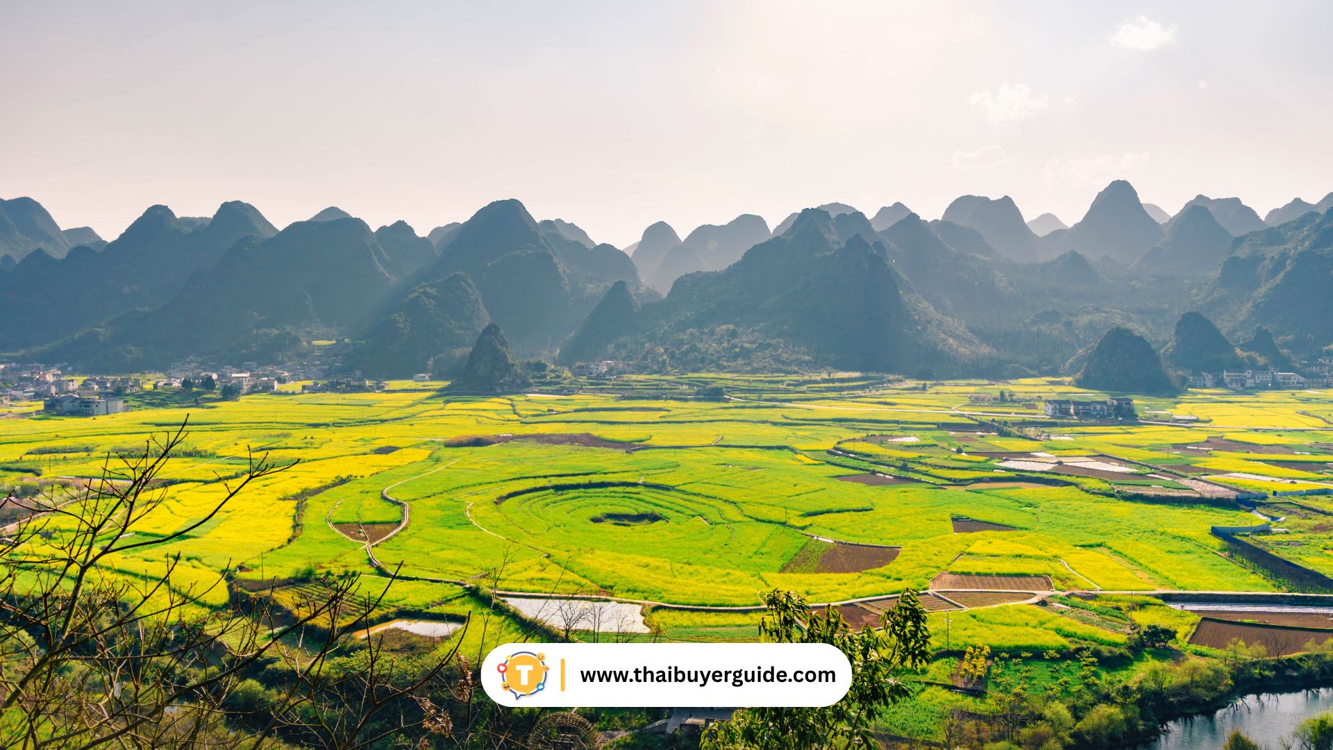 ลานหิน Wanfenglin (Forest of Ten-Thousand Peaks)