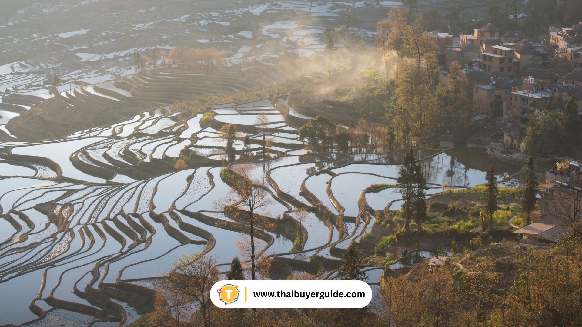 Yuanyang Rice Terraces – นาขั้นบันไดหนึ่งในโลกที่สวยที่สุด