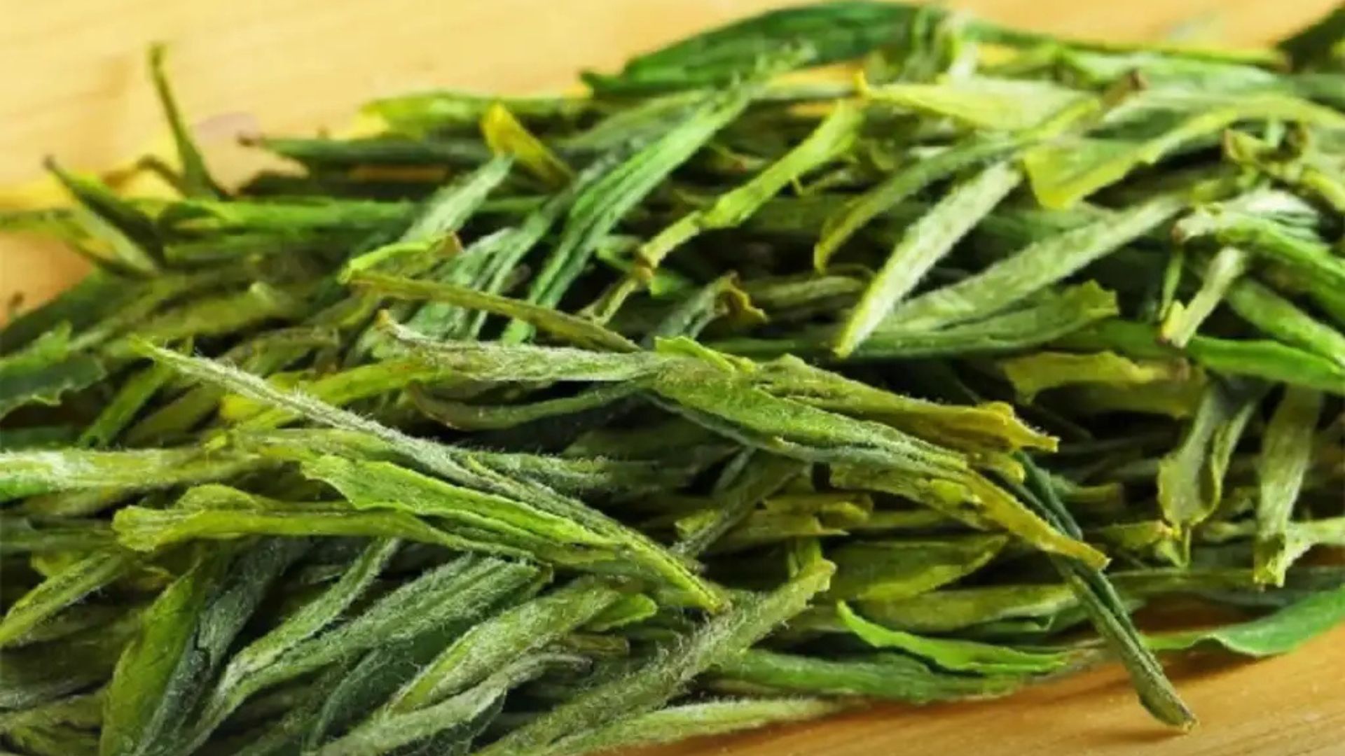 Tea Leaves Huangshan Maofeng — ชาอันฮุยชื่อดัง