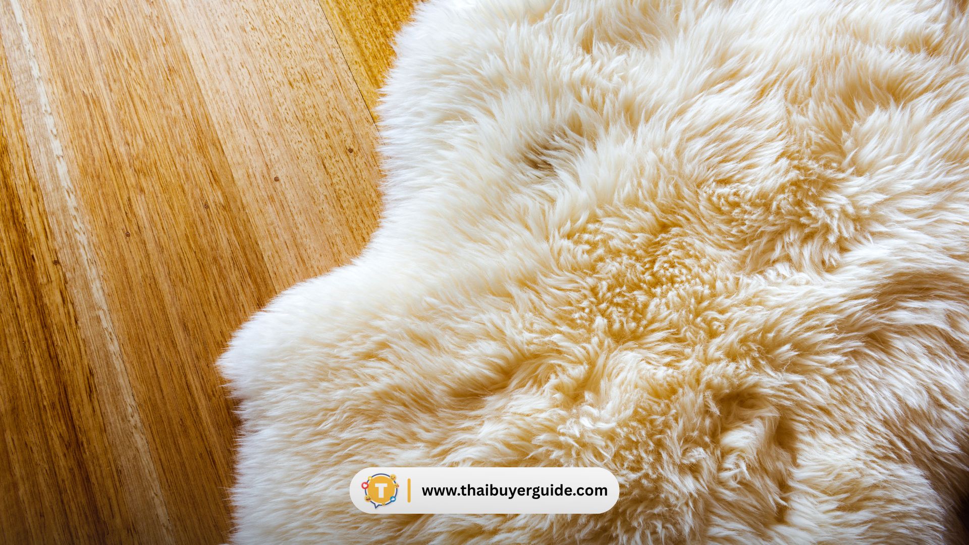 หนังแกะ