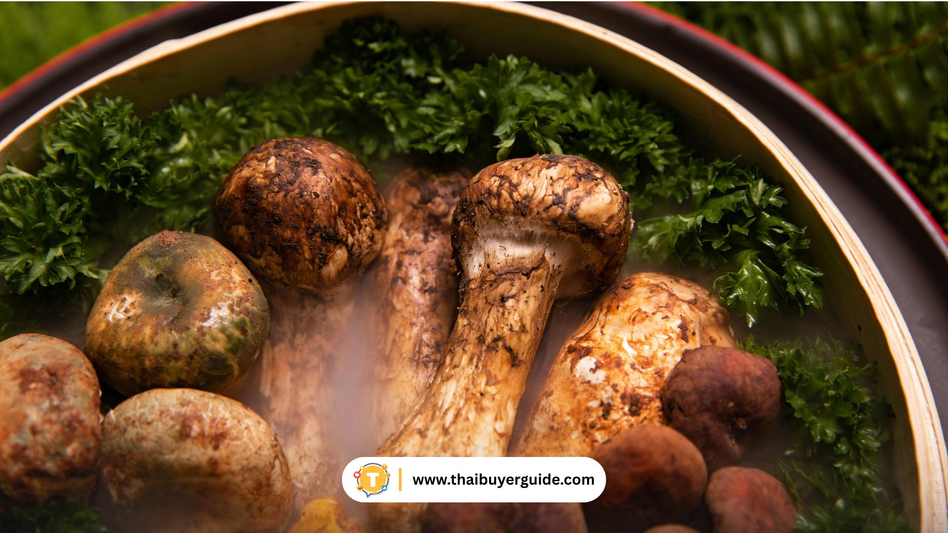 เห็ดแห้ง (เช่น Matsutake, Morel)