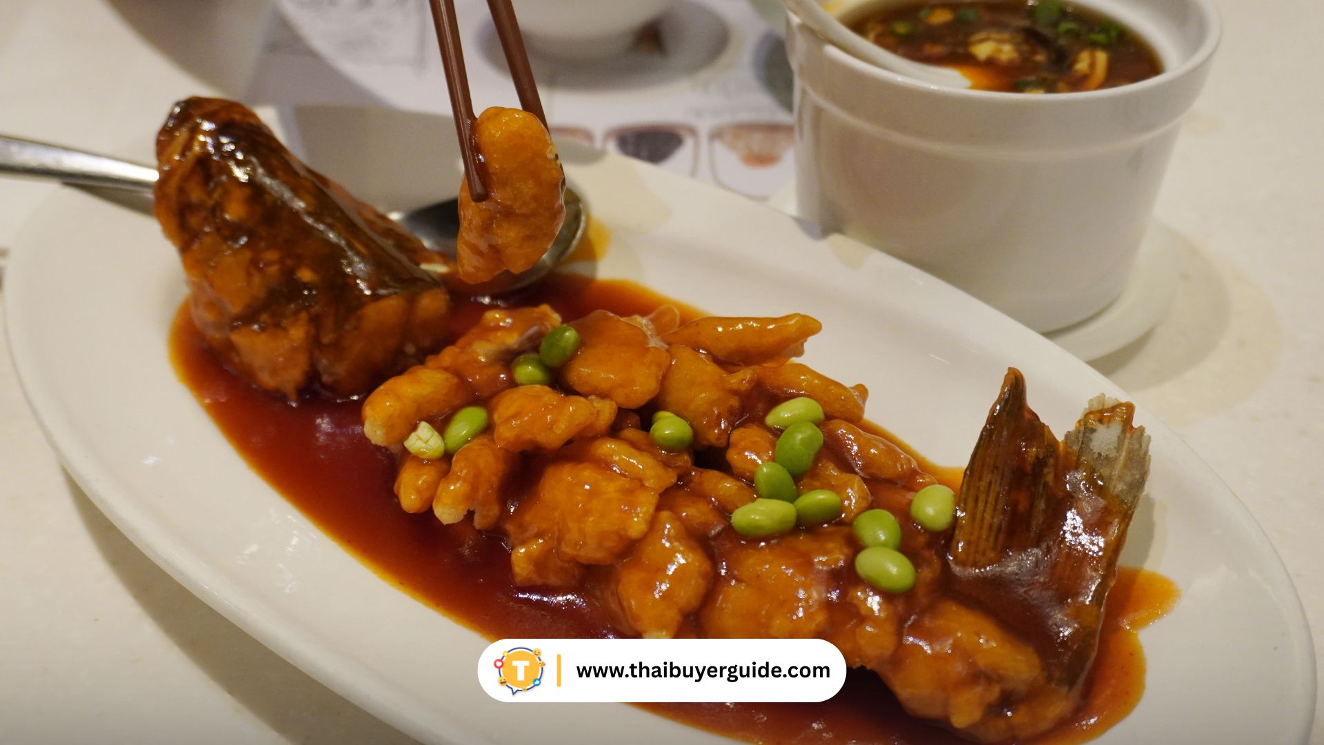 Squirrel Fish (松鼠桂鱼)