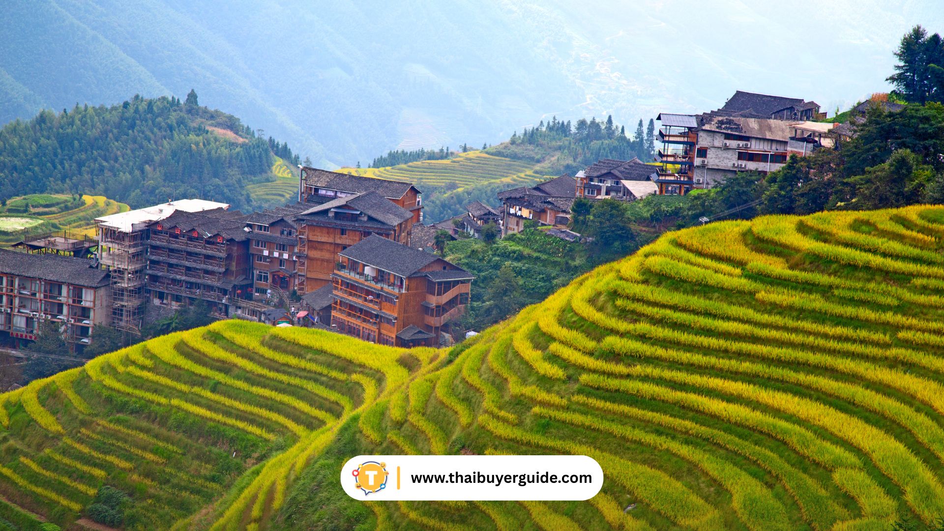 Longji Rice Terraces