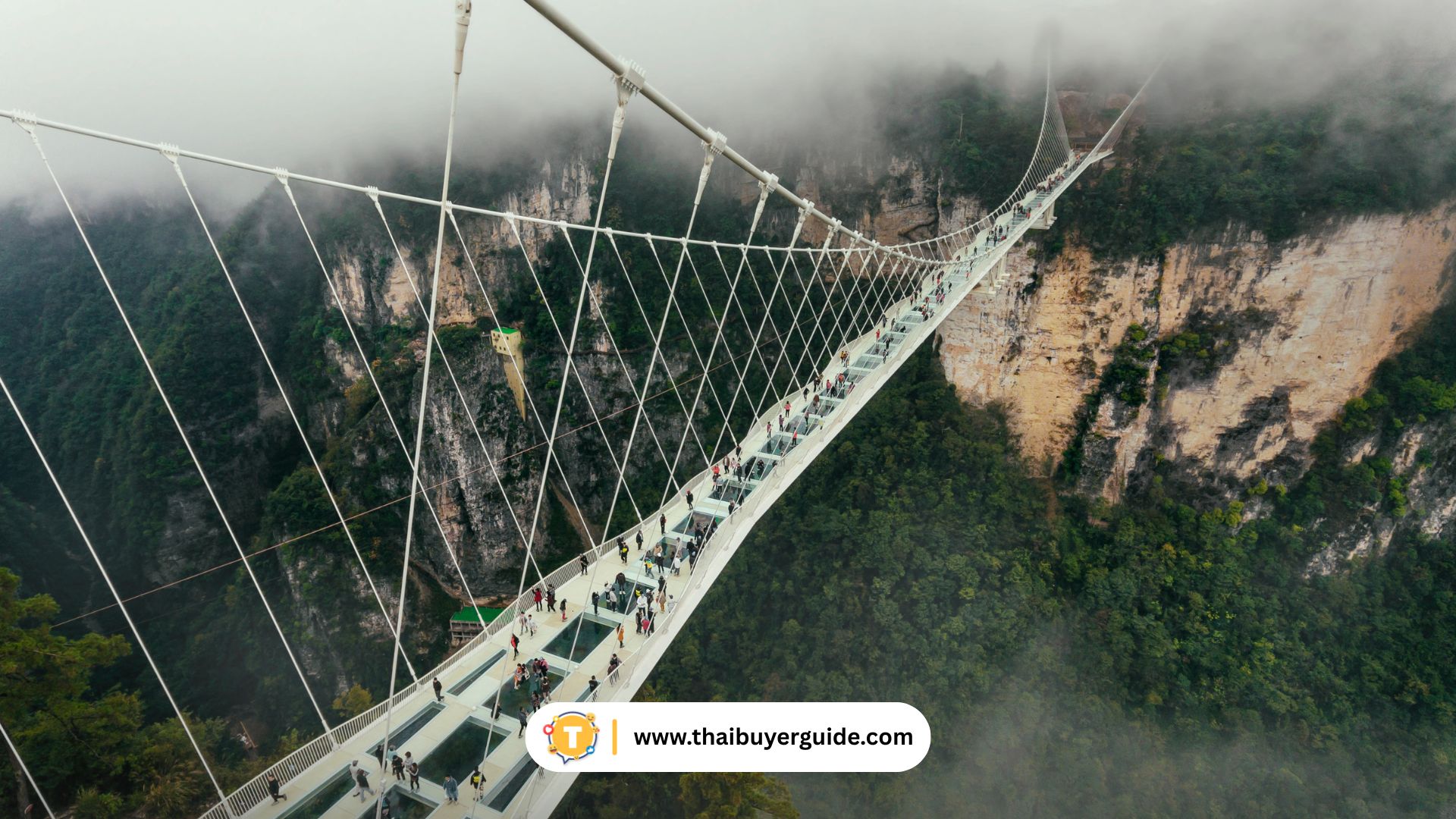 สะพานแก้วจางเจียเจี้ย (Zhangjiajie Glass Bridge)