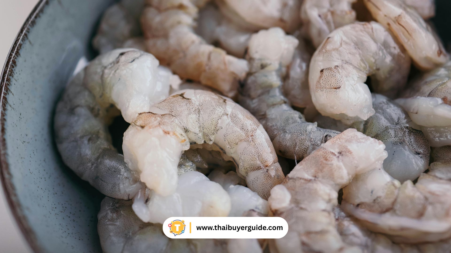  กุ้งน้ำจืดแม่น้ำซงฮวา (Songhua River Shrimp 松花江虾) กุ้งน้ำจืดแม่น้ำซงฮวา (Songhua River Shrimp 松花江虾)