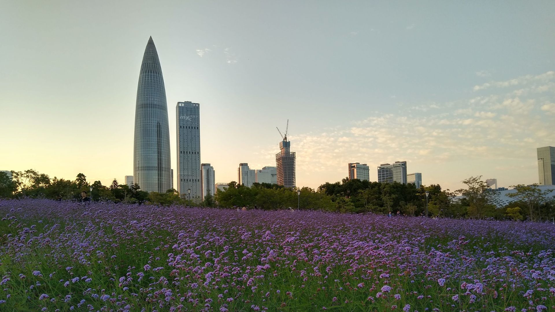 Shenzhen Bay Park
