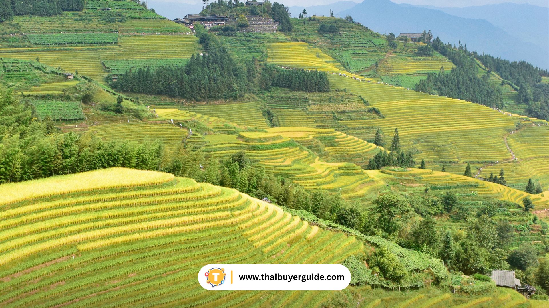 หลงเซิ่ง (Longsheng)