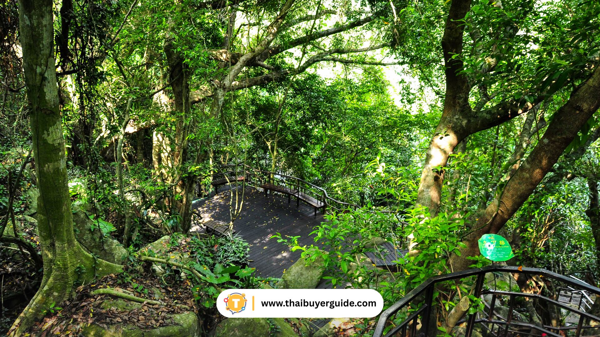 Yanoda Rainforest (呀诺达雨林)