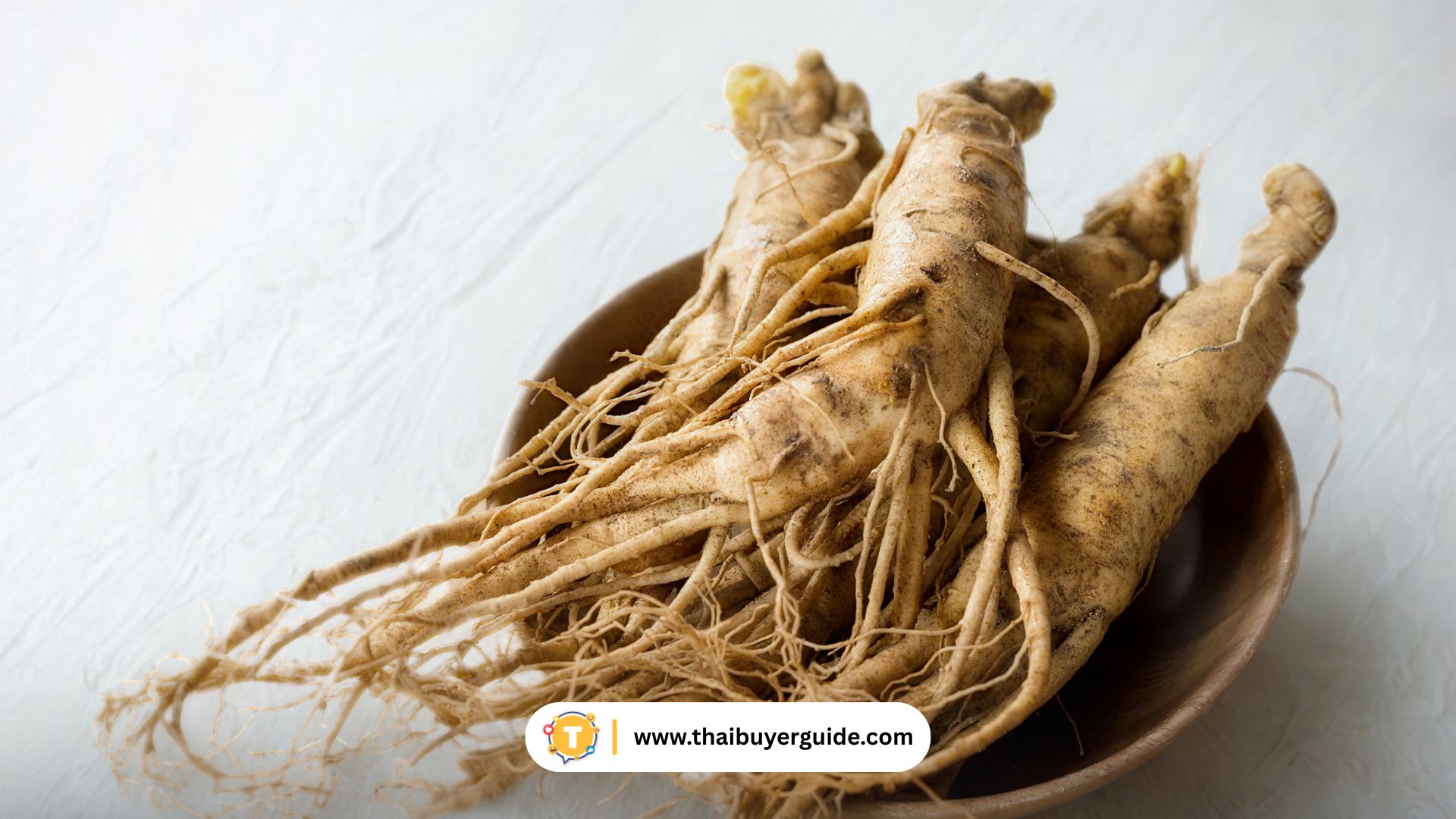 ผลิตภัณฑ์โสม เห็ด และสมุนไพรภาคเหนือ