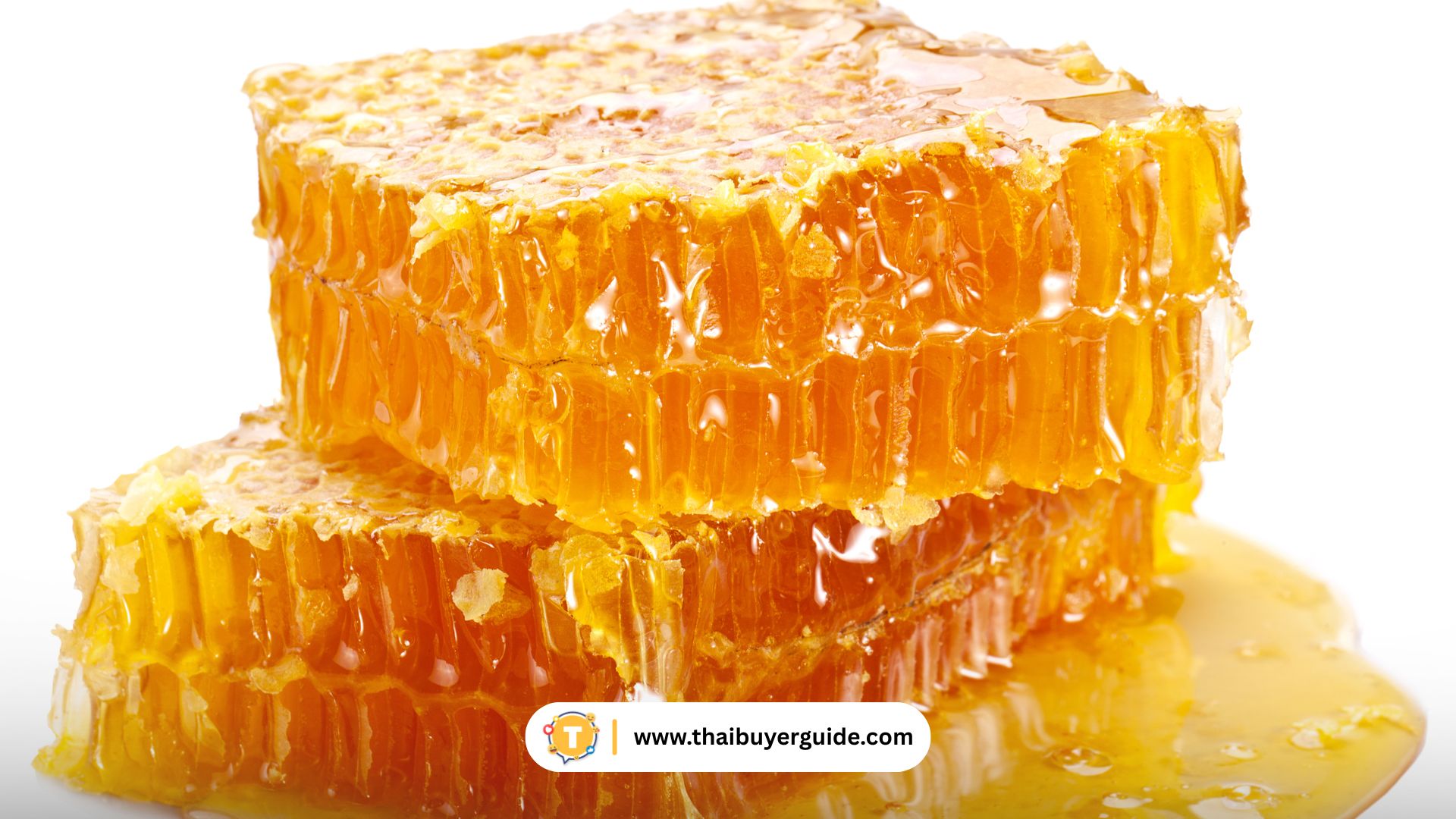 น้ำผึ้งภูเขา ดอกป่า