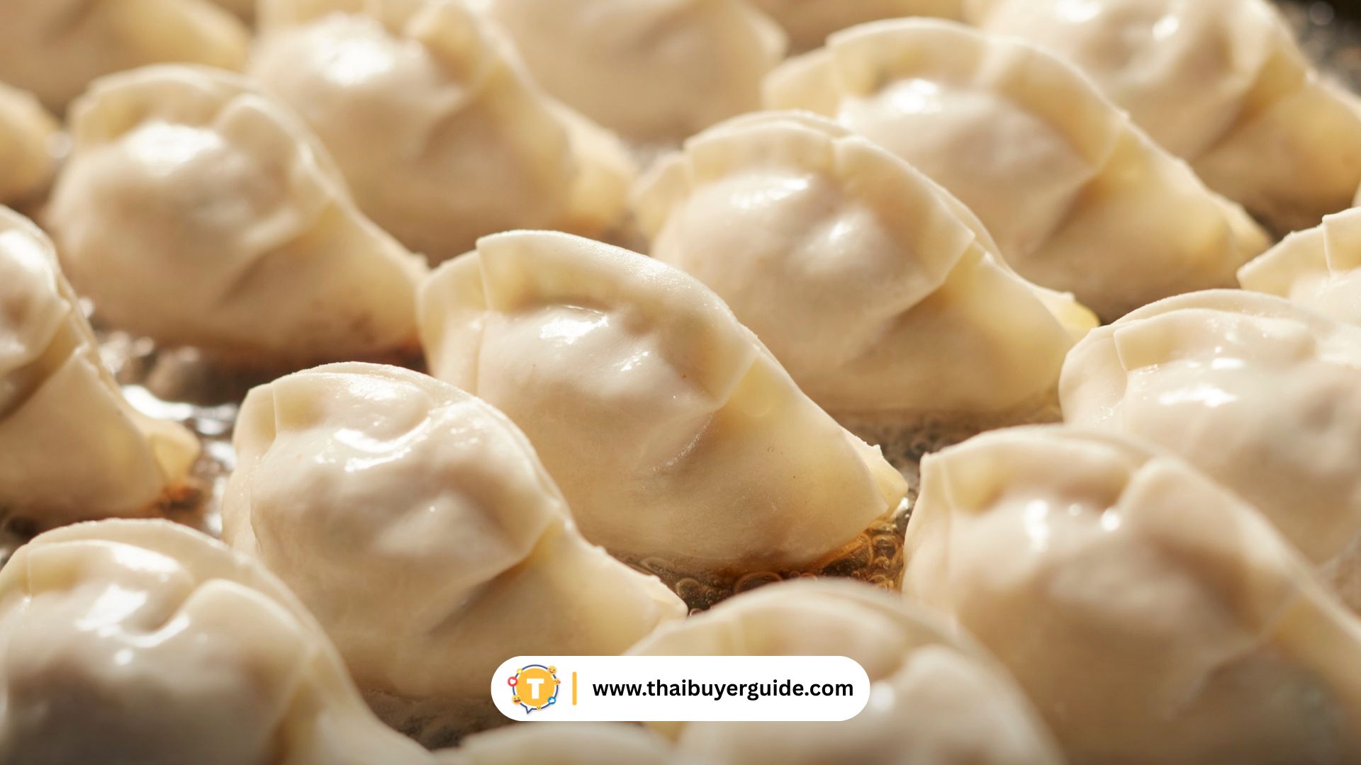 เกี๊ยวตงเป่ย (Dongbei Dumplings)