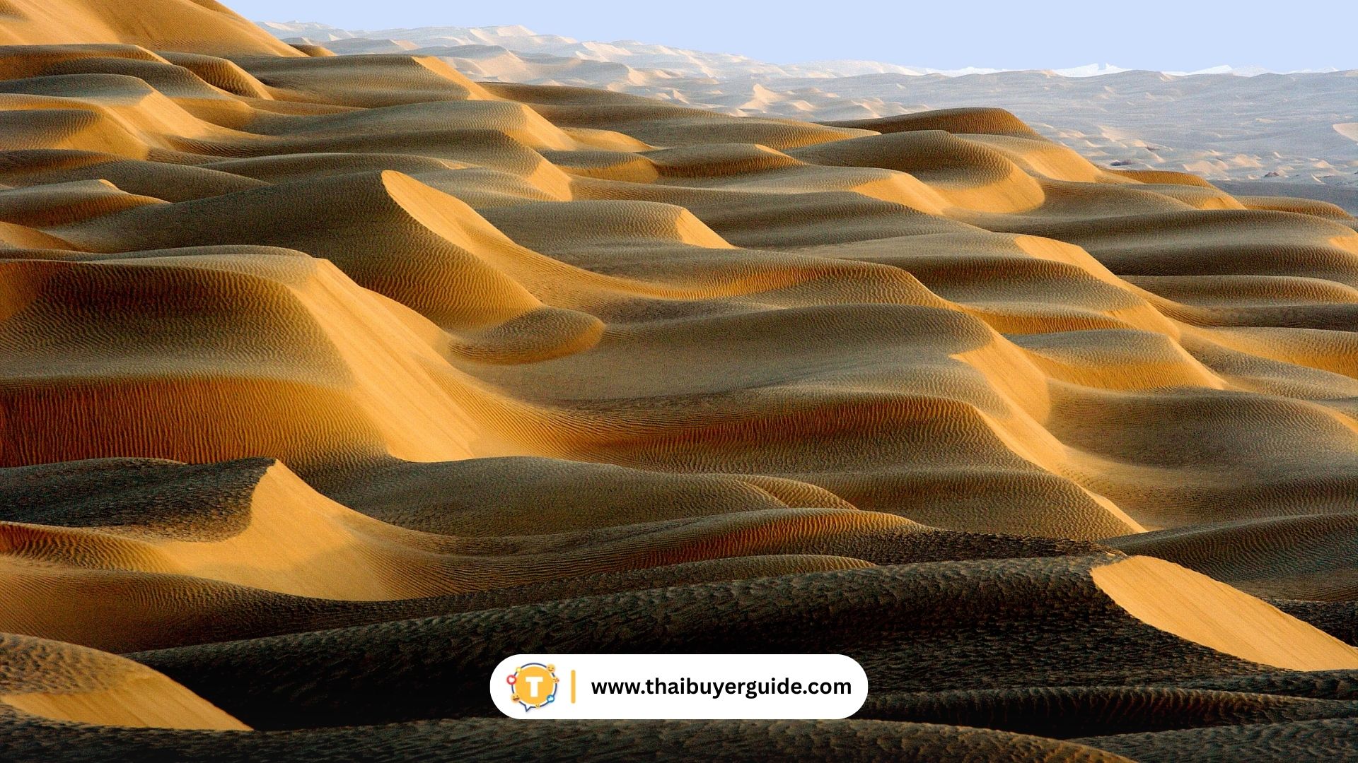 Taklamakan Desert (塔克拉玛干沙漠)