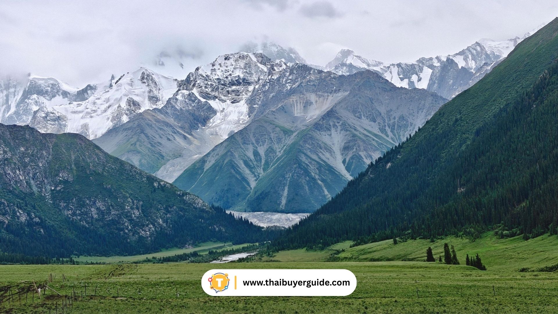 Ili Grassland (伊犁草原)