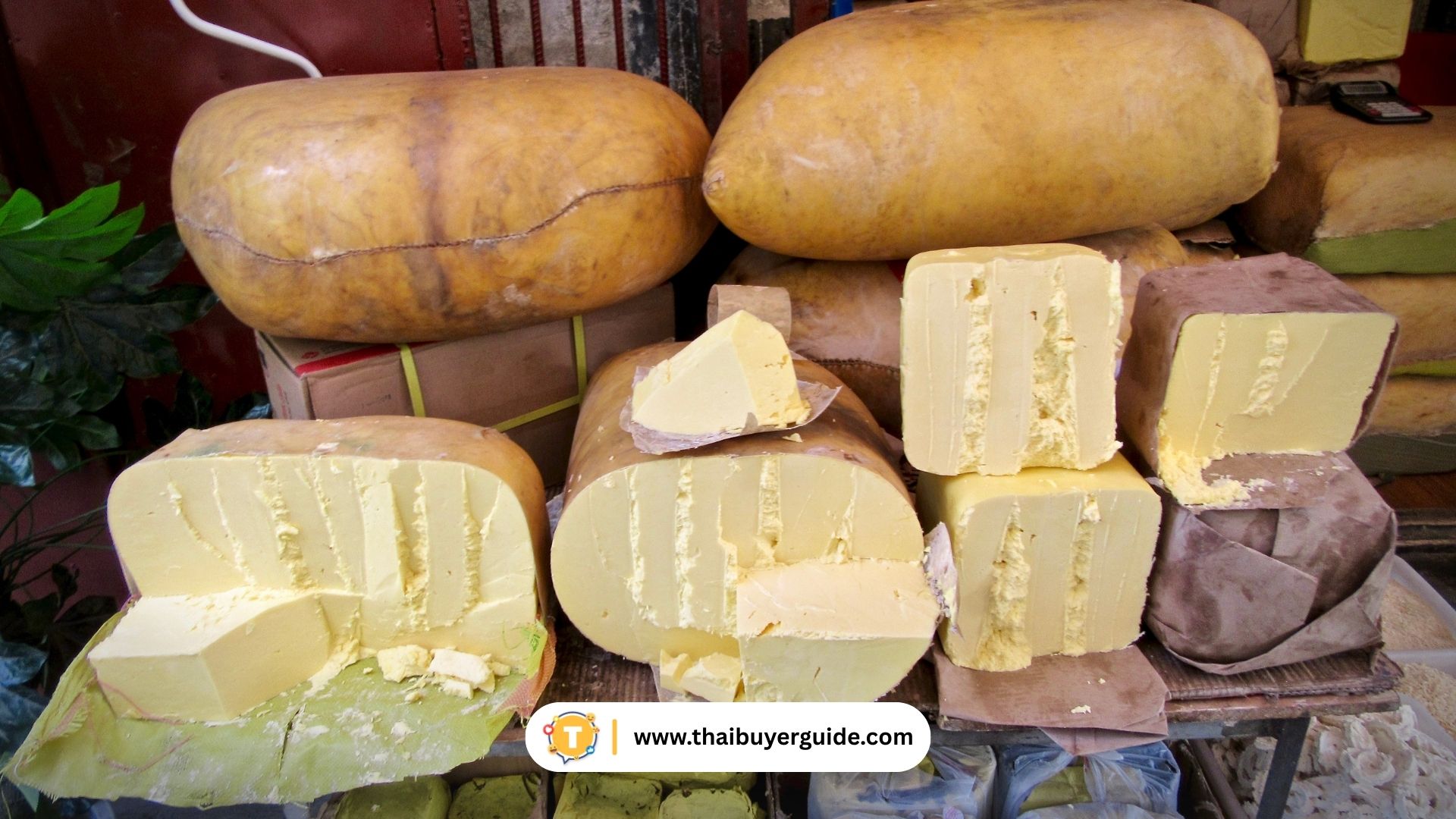 นมผงจามรี / ชีสจามรี