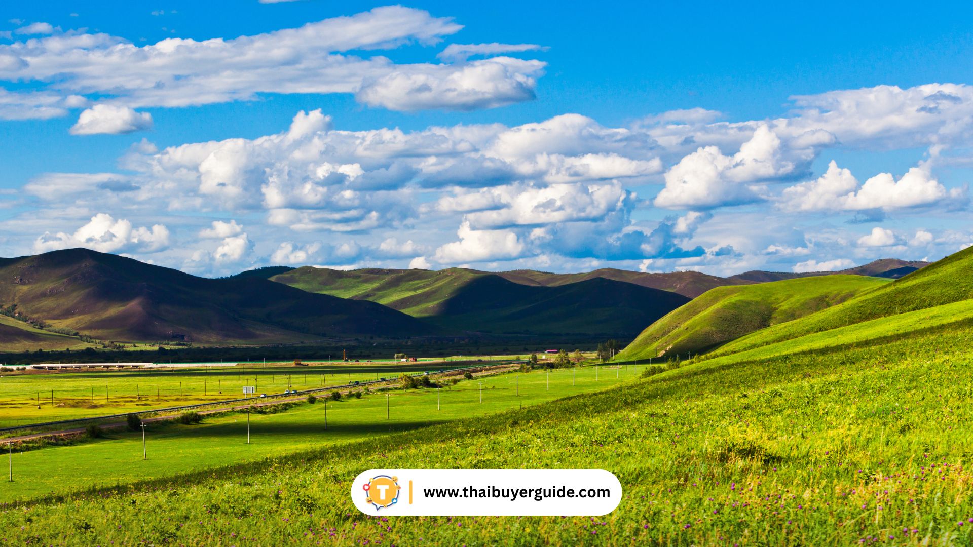 手把肉 (Shǒubǎ Ròu)